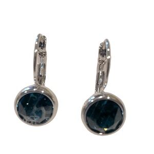 Dark blue and silver toned earrings